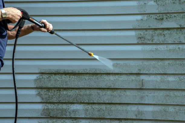 Best Gutter Cleaning  in La Crescent, MN