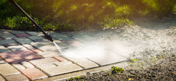 Best Soft Washing  in La Crescent, MN